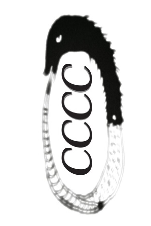 CCCC – Centre for Cybernetic Culture Circulation